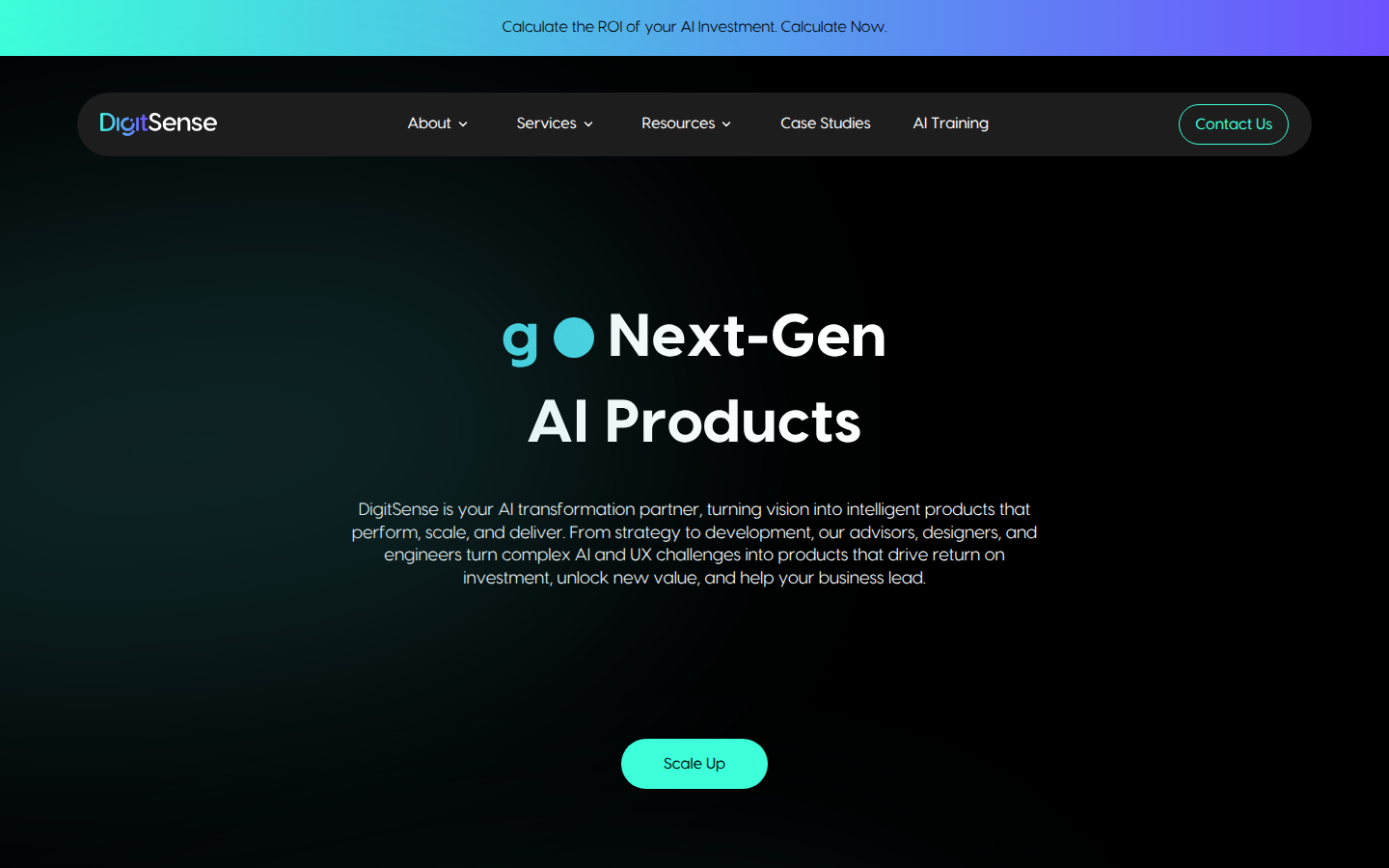digit-sense.com home page